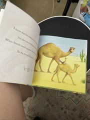 Book Why A Son Needs A Dad