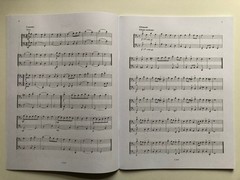 Violoncello Duets 1
