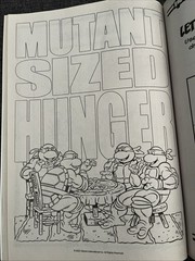Teenage Mutant Ninja Turtles Coloring And Activity Book TMNT Heroes Nickelodeon