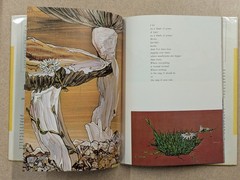 Tiger Flower by Robert Vavra Paintings By Fleur Cowles 1969 HC. Very Good+