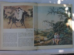 „L’EROTISME CHINOIS” HARDCOVER BOOK (IN FRENCH)-BEAUTIFUL ILLUSTRATIONS-96 PAGES