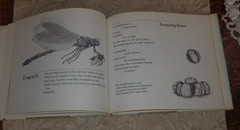 Bugs : Poems By Mary Ann Hoberman 1976 HC 1st ED in Dust Jacket RARE SIGNED!