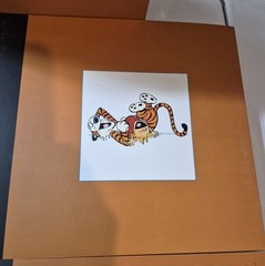 The Complete Calvin and Hobbes • 4 Book Box Set (Paperback)