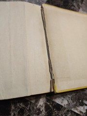 Still More Boners The Viking Press 1931 First Edition