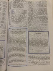 Student Bible by Wayne Rice (2005, Hardcover)