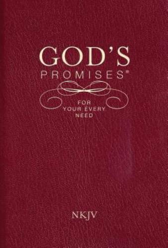 God’s Promises for Your Every Need, NKJV – Paperback By Countryman, Jack – GOOD