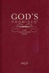 God’s Promises for Your Every Need, NKJV – Paperback By Countryman, Jack – GOOD