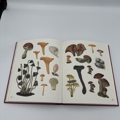 [80% Full] The Forests, Fairies and Fungi Sticker Anthology Book 1,000+ Stickers