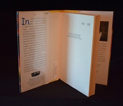 A Tangle of Knots by Lisa Graff ~ c 2013 ~ Pages 234 ~ Hardcover ~ Ex Library