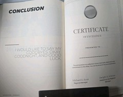 SOMEHOW I MANAGE by Michael Scott