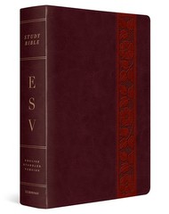 ESV Study Bible, Large Print TruTone, Mahogany, Trellis Design