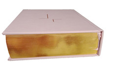 The Jesus Bible Pink with Gold In Box Louie Giglio Leather soft over board