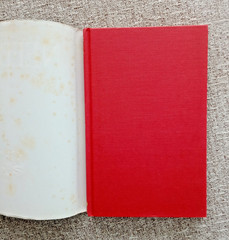 NEEDS (International Library of Philosophy ) By Garrett Thomson Hardcover
