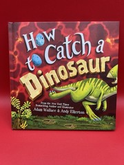 How to Catch a Dinosaur, Dinosaur Playset, How To Draw & My Special Adventure Bk