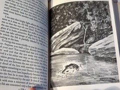 Freshwater bass fishing book Ray Bergman 1954, Illustrated. VG DJ. Stunning art.
