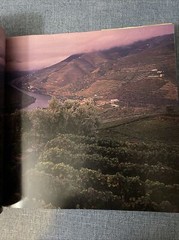 LIVING IN PORTUGAL By De Anne Stoop 255 PAGES HC DJ FREE SHIPPING 1995