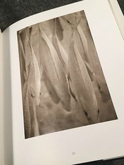 Creatures by Henry Horenstein (1999, Hardcover, Deluxe). Signed by the author.