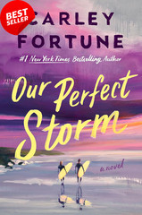 Our Perfect Storm