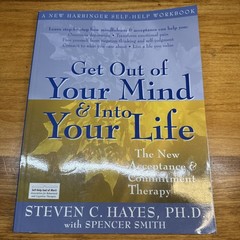 Get Out of Your Mind & into Your Life: Acceptance Commitment Therapy Hayes Clean