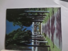Beautiful Isles Cayman by Paul Humann Paperback book 104 Pages 11.5 X 9 Inch