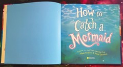 How to Catch a Mermaid – Adam Wallace & Andy Elkerton, 149266247, Hardcover
