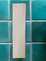 Travels in North America 1822-1824 Duke Paul Wilhelm of Wurttemberg PB