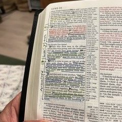✝️ Pitt Minion Reference Bible NKJV Calf Skin Leather / Fine Binding – Cambridge
