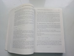 Topological Geometrodynamics – Pitkanen – Relativity Quantum Dark Luniver 2006
