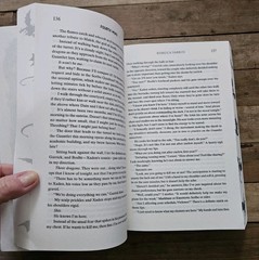 🐲 Fourth Wing 1st Printing Limited Edition Paperback Full Sprayed Dragon Edges