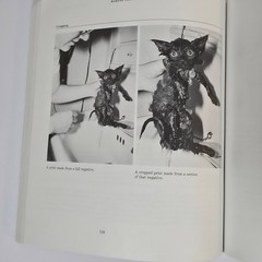 Photography Books Lot Zuckerman Shooting & Selling Horenstein Black & White