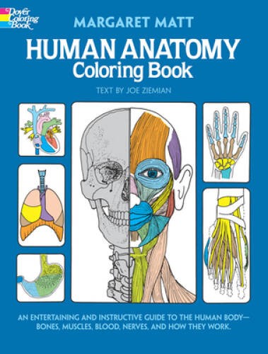 Human Anatomy Coloring Book (Dover Children’s Science Books) – Paperback – GOOD