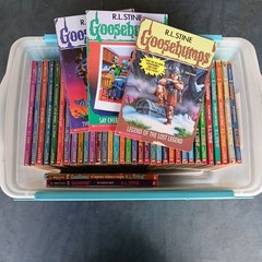 Goosebumps Books Lot of 39 Vintage 90s Original First Printing 1 3-38, 43-44, 47