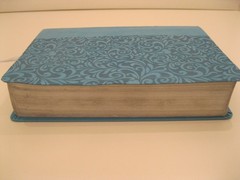 The Everyday Life Bible Teal LeatherLuxe Amplified Bible Joyce Meyer Faith Words