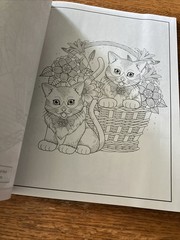 Cat Coloring Book 32 Playful Spring- Inspired Designs