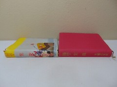 JAPANESE PRINT BOOK MAGAZINE SHUFU NO TOMO JAPAN FLOWER ARANGMENTS RARE VINTAGE