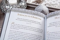 Courage to Conquer: 365 Devotions from Joshua, Judges, and Ruth (