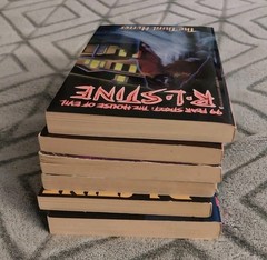 6 R.L. Stine Book Lot – Multiple Titles. See Pics and Description. Used.