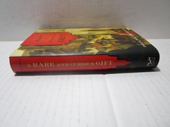 A Rare and Curious Gift – Pauline Holdstock – Hard Cover First American Edition