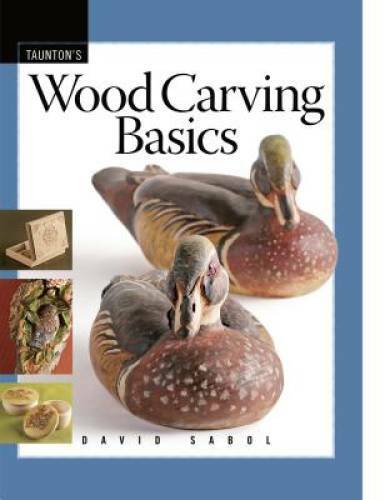Wood Carving Basics (Fine Woodworking DVD Workshop) – Paperback – GOOD