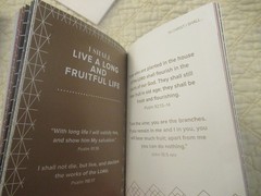 Joseph Prince 5-Minibook Set (3 Books & 2 Sermon Notes) (Paperback)