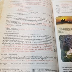Zondervan Archaelogical Study Bible NIV Hardcover Book W/Software Disc 2005