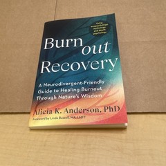 Burnout Recovery by Alicia King Anderson Paperback