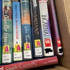 Lot of 24 Young Adults ex-library hardcover fiction mixed autors