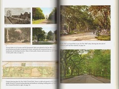 GOOD NATURE-How Plants Are Good For Health/by Willis/Forests/Parks/NEW/HB/DJ/Ill