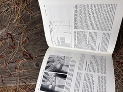 Rockwood Fractures in Adults & Children 2nd Ed Complete 3 Vol Set HC Orthopedic