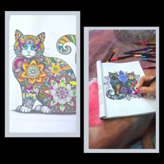 Mandala coloring book for adults for Cats Lovers Made in USA 40 Designs.
