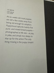 4 Dog Books