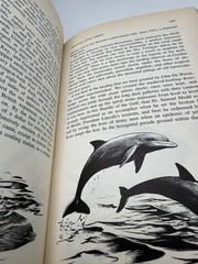 Wild America Roger T Peterson & James Fisher 1955 HB DJ Naturalist Travelogue