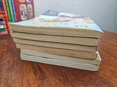 Animal Ark Book Lot 24 Paperbacks Ben M Baglio Pets 1 Hardback With 22 Stories