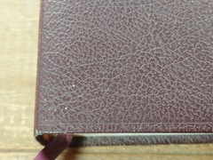 Jack Van Impe Prophecy Bible Special Limited Edition Red Letter KJV